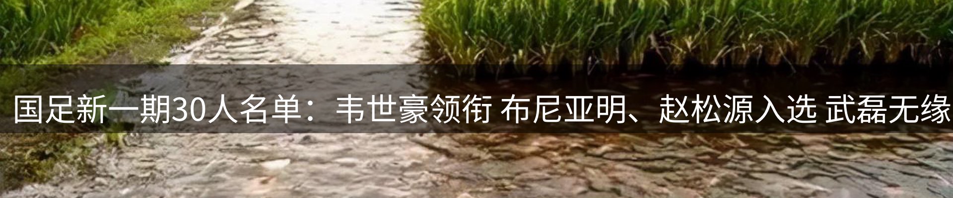 内页banner
